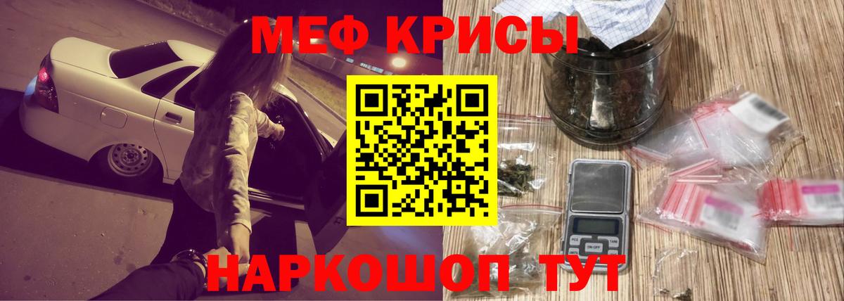МЕФ Вольск