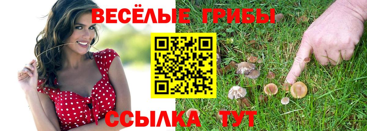 Мефедрон кристаллы  A-PVP СОЛЬ кристаллы  Вольск  ГАШ  Вход с VPN 